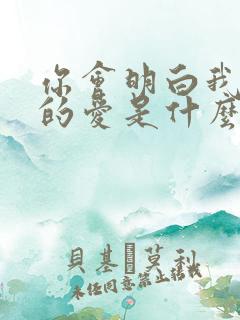 你会明白我给你的爱是什么歌