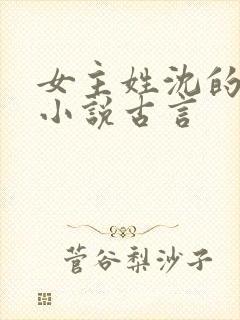 女主姓沈的重生小说古言