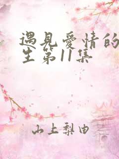 遇见爱情的利先生第11集