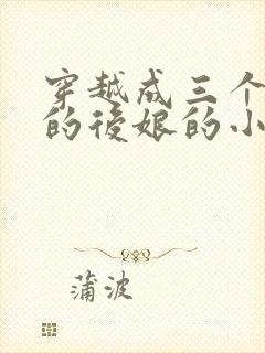 穿越成三个反派的后娘的小说