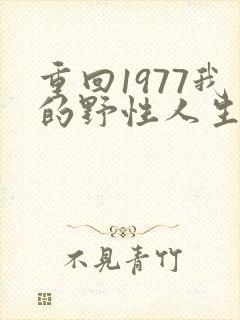 重回1977我的野性人生在线观看