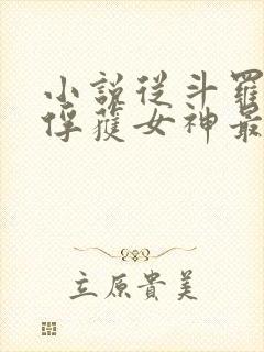 小说从斗罗开始俘获女神最新章节列表