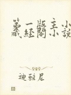 第一版主小说网藏经阁小说网