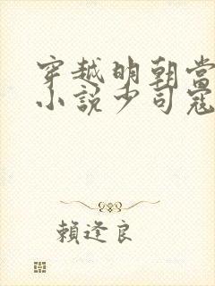 穿越明朝当皇帝小说少司寇