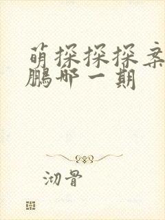 萌探探探案敖瑞鹏哪一期