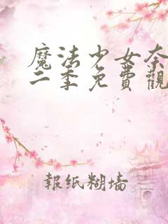 魔法少女奈叶第二季免费观看