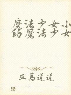 魔法少女小圆中的魔法少女设定