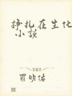 挣扎在生化末世 小说