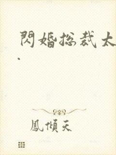 闪婚总裁太霸道.