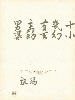 男主有几十个老婆的玄幻小说