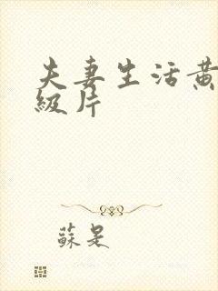 夫妻生活黄色一级片