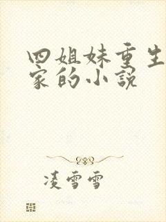 四姐妹重生 沈家的小说