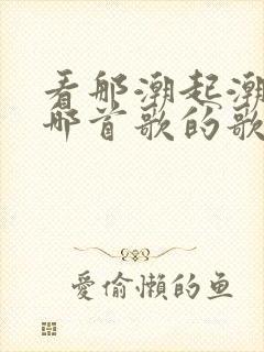 看那潮起潮落是哪首歌的歌词