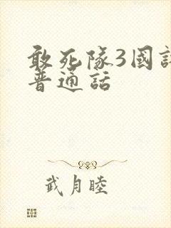 敢死队3国语版普通话