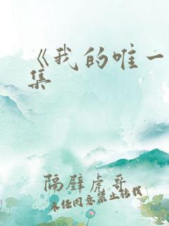 《我的唯一》续集