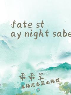 fate stay night saber被绑哪一集