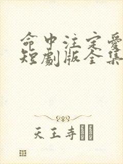 命中注定爱上我短剧版全集完整版在线观看