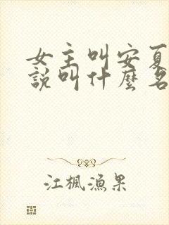 女主叫安夏的小说叫什么名字