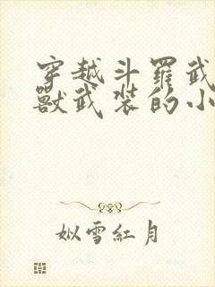 穿越斗罗武魂超兽武装的小说