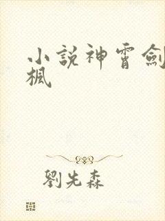 小说神霄剑修林枫