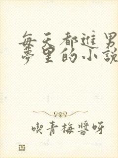 每天都进男神的梦里的小说
