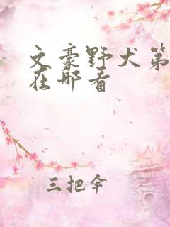 文豪野犬第六季在哪看