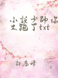 小说少帅你老婆又跑了txt