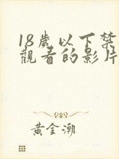 18岁以下禁止观看的影片