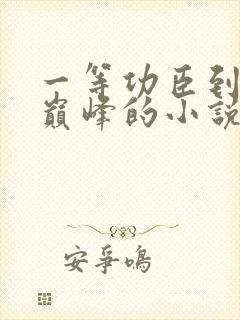 一等功臣到权力巅峰的小说