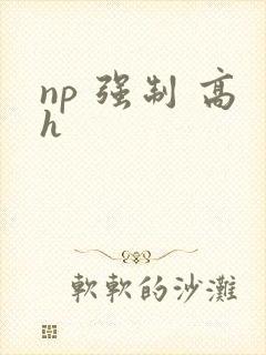 np 强制 高h