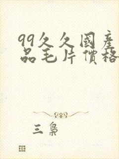 99久久国产精品毛片价格色大师