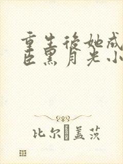 重生后她成了权臣黑月光小说