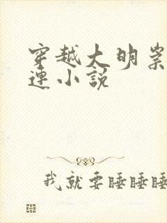 穿越大明崇祯朱连小说