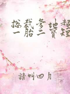 总裁爹地超凶猛一胎二宝短剧在线观看