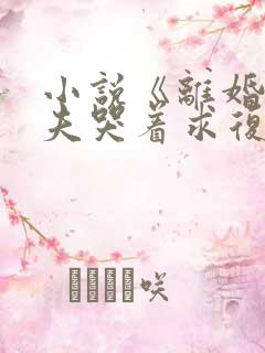 小说《离婚后前夫哭着求复婚》