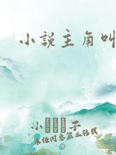 小说主角叫林凡