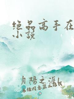 绝品高手在都市小说