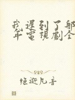 我迟到了那么多年电视剧全集免费播放