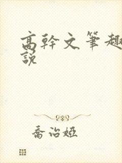 高干文笔趣阁小说