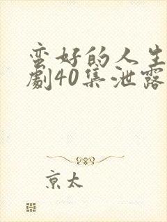 蛮好的人生电视剧40集泄露版