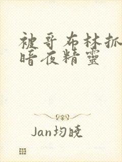 被哥布林抓住的暗夜精灵