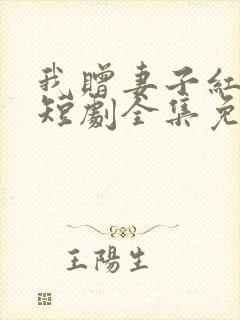 我赠妻子红缨枪短剧全集免费观看