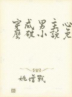 穿成男主心魔怎么破小说免费