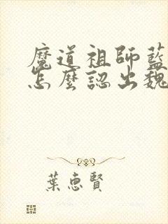 魔道祖师蓝忘机怎么认出魏无羡的