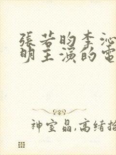 张若昀李沁陈道明主演的电视剧