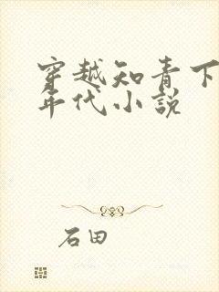 穿越知青下乡的年代小说