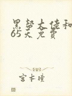 黑帮大佬和我365天免费