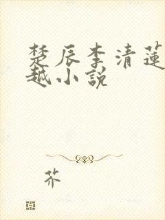 楚辰李清莲的穿越小说