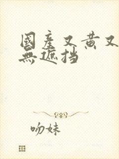 国产又黄又爽又无遮挡