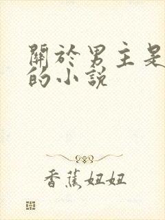 关于男主是医生的小说